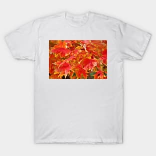 Autumn Leaves T-Shirt